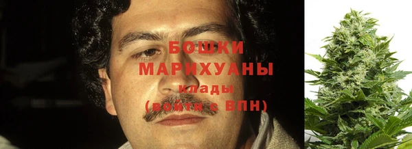 шишки Заволжье