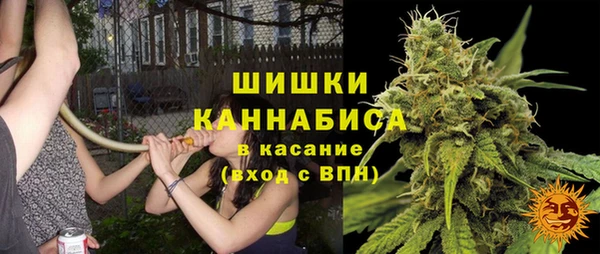 шишки Заволжье