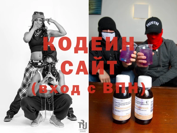 шишки Заволжье