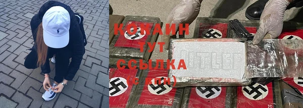 прущие крисы Инта