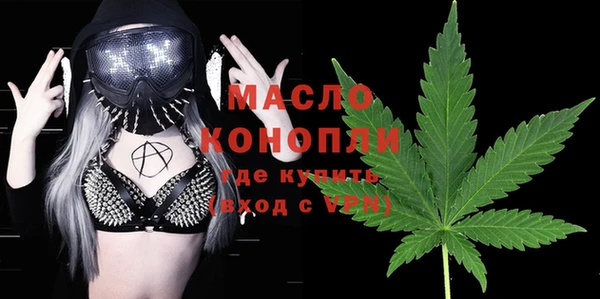 шишки Заволжье