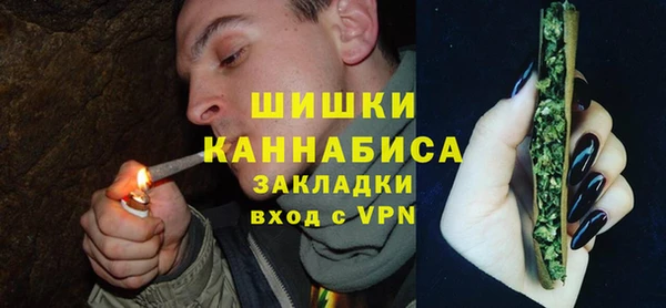 шишки Заволжье