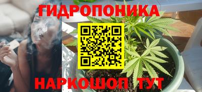 гашик Берёзовский