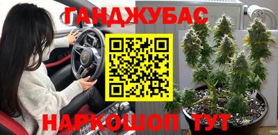 твердый Бийск