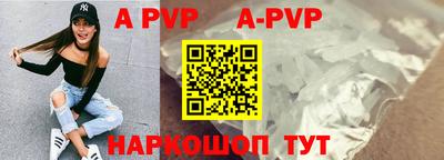 гашик Берёзовский