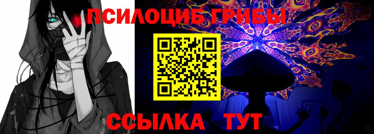 Дедовск  Псилоцибиновые грибы прущие грибы  Вход с VPN  Псилоцибиновые грибы Psilocybine cubensis 