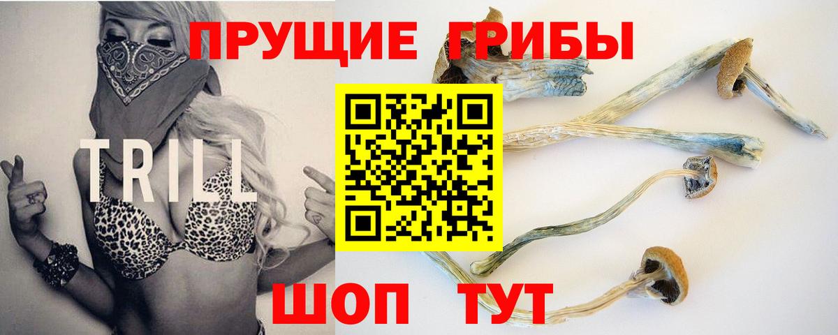 Галлюциногенные грибы Psilocybine cubensis Дедовск